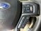 2019 Ford Super Duty F-250 SRW F250 & Crew Cab