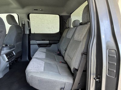 2023 Ford Super Duty F-250 SRW XLT 4x4 4dr Crew Cab 8 ft. LB Pickup