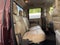 2015 Ford Super Duty F-350 DRW Lariat 4x4 4dr Crew Cab 8 ft. LB DRW Pickup